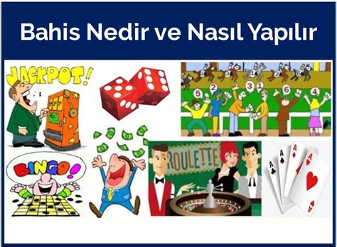 NGS Bahis Nasıl Bahis Yapılır